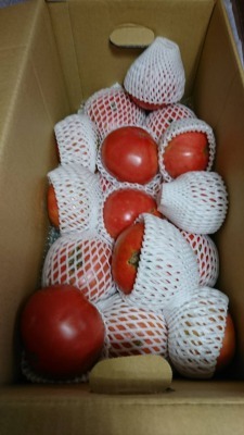 まるちゃんのトマト