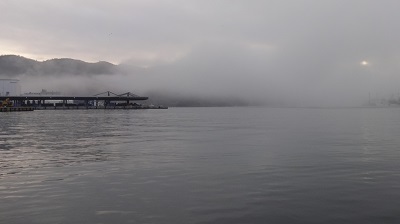 今朝の女川港　この時期にしては珍しい濃霧