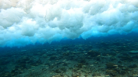 沖縄　美ら海　サンゴ