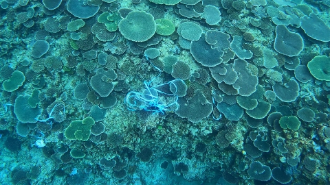 沖縄 美ら海 ゴミ
