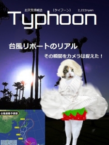 Typhoon＠ヤチちゃん