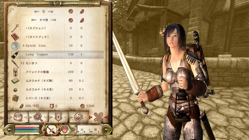 Elder Scrolls IV Oblivion Screenshot 10
