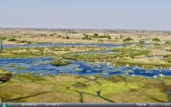 6_Okavango26s.jpg