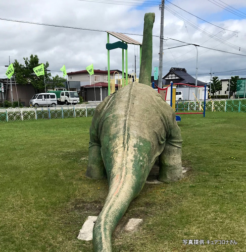 いずみ公園（北海道訓子府町）のディプロドクス　写真提供　キュアコロナさん