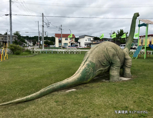 いずみ公園（北海道訓子府町）のディプロドクス　写真提供　キュアコロナさん