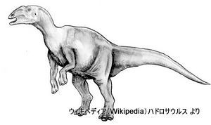 ハドロサウルスとランベオサウルス（ウィキペディア（Wikipedia）から