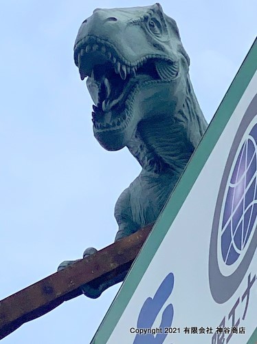 社屋の屋上にオリジナル恐竜が載っている神谷商店さん