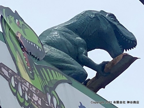 社屋の屋上にオリジナル恐竜が載っている神谷商店さん