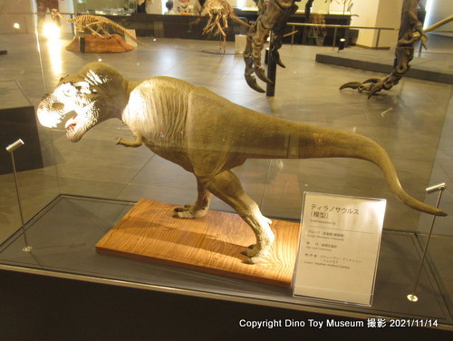 2021/10/29にオープンした長崎市恐竜博物館の恐竜たちに会いに行きました！（その２）