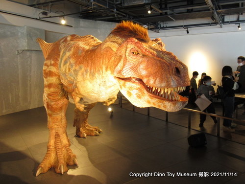 2021/10/29にオープンした長崎市恐竜博物館の恐竜たちに会いに行きました！（その２）