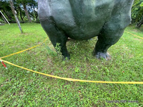 こんなところで恐竜発見！　男女山（おとめやま）公園（岡山県鏡野町）