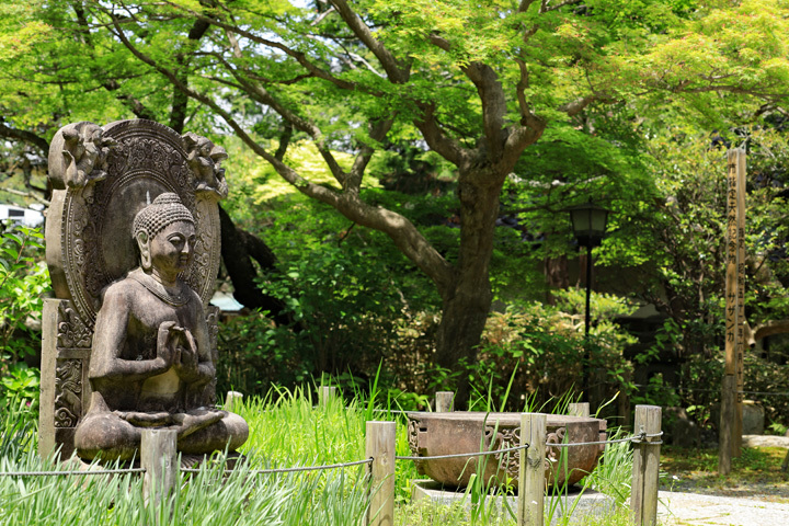 210504_Ankokuronji-Buddha.jpg
