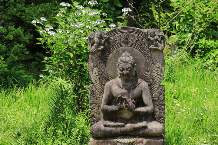 210530_Ankokuronji-Buddha-Statue.jpg
