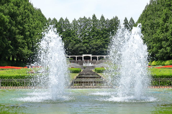 210611_Sagamihara-Park-Fountain_2.jpg