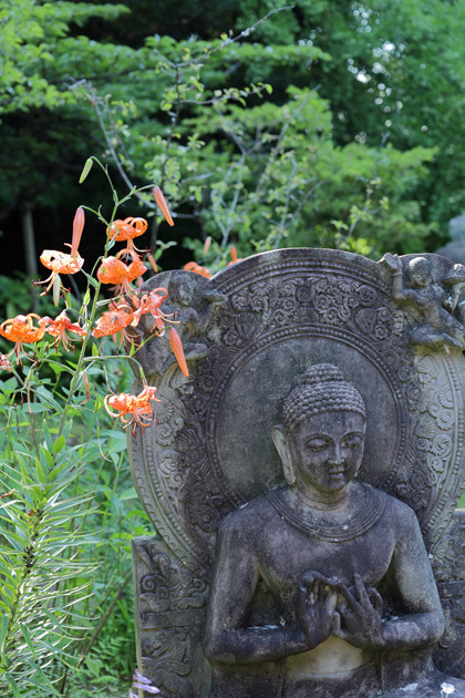 210722_Ankokuronji-Buddha.jpg
