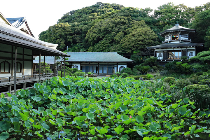 210724_Komyoji-Kisyu-Garden.jpg