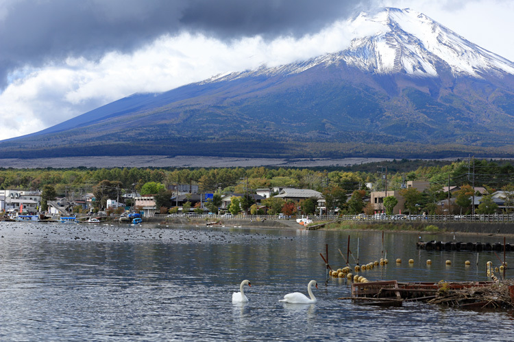 211021_Mt-Fuji-Swan.jpg