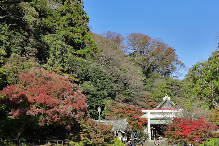 211124_Kamakuragu.jpg