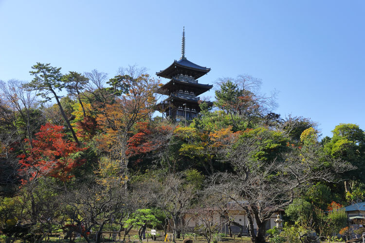 211201_Sankeien-ThreeStory-Pagoda.jpg