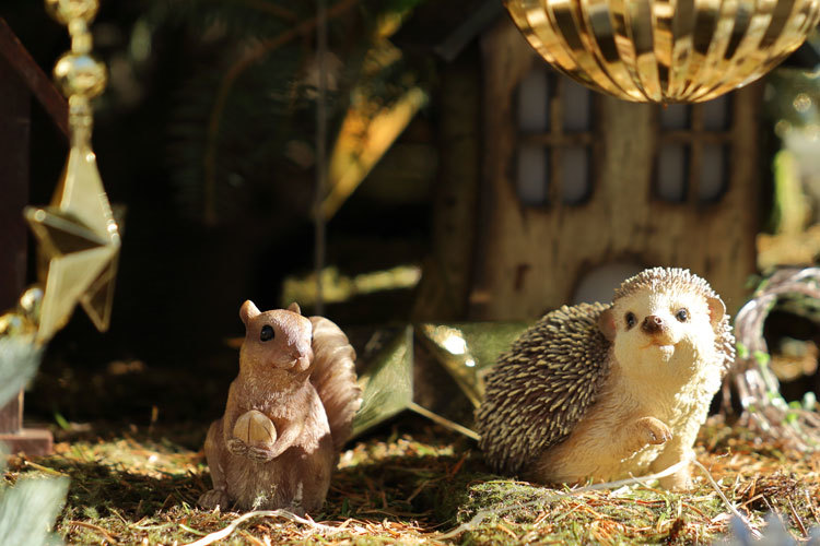 211221_Squirrel-Hedgehog.jpg