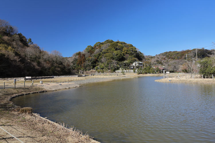 220224_Yofukuji-Pond.jpg