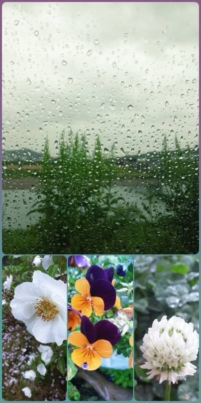 collage-202005-rain.jpg