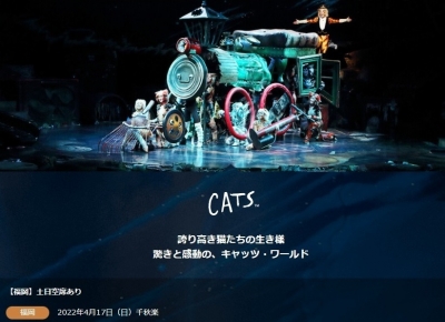 20220417_Cats_Fukuoka_Final.jpg