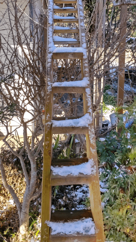 外階段雪かき1-min