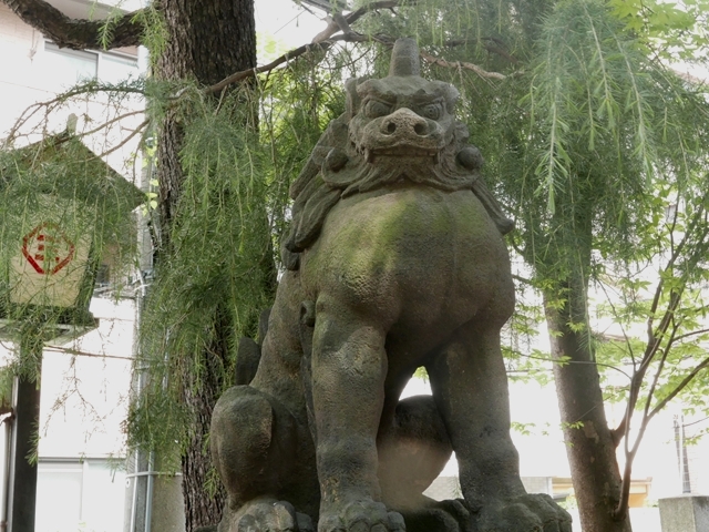 三島神社の狛犬