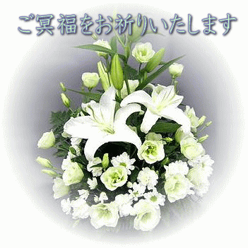 okuyami-white-en_20220304143620de2.gif