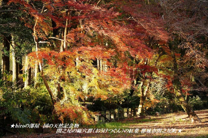 hiroの部屋　国の天然記念物 関之尾の甌穴群（おうけつぐん）の紅葉 都城市関之尾町