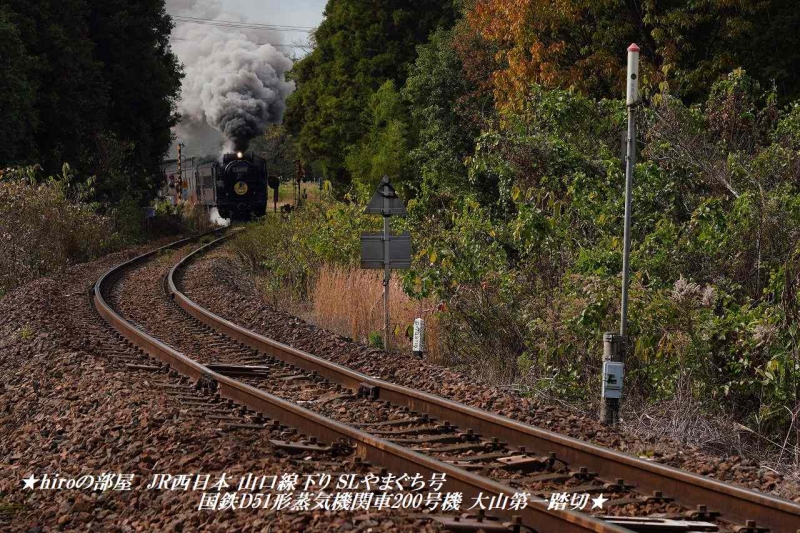 hiroの部屋　JR西日本 山口線下り SLやまぐち号 国鉄D51形蒸気機関車200号機 大山第一踏切