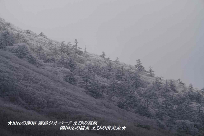 hiroの部屋　霧島ジオパーク えびの高原韓国岳の樹氷 えびの市末永