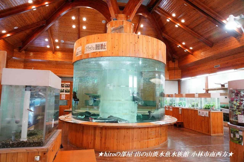 hiroの部屋 出の山淡水魚水族館 小林市南西方
