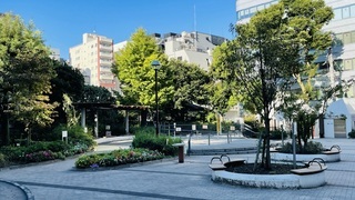 新宿公園03