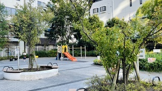 新宿公園05