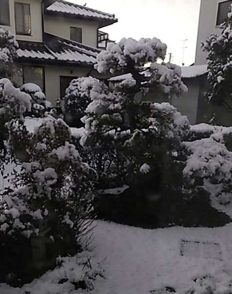 大雪の翌朝