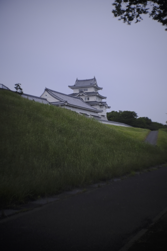 Chiba_Castle②_15