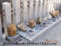 2022-1月31日金蛇水神社ヘビ2