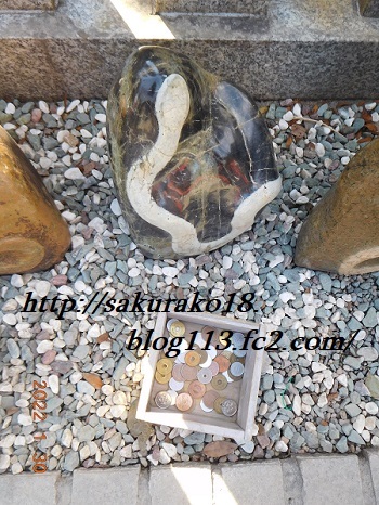 2022-1月31日金蛇水神社ヘビ3