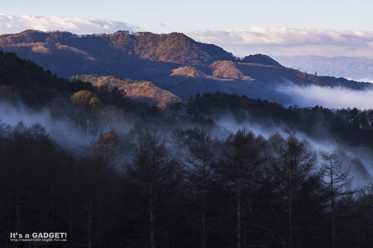 山の朝霧