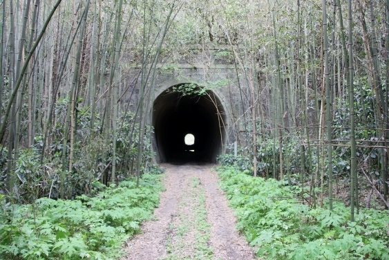 北側からのトンネル