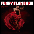 flamenco.png
