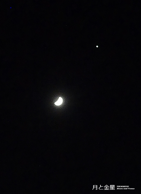 月と金星2